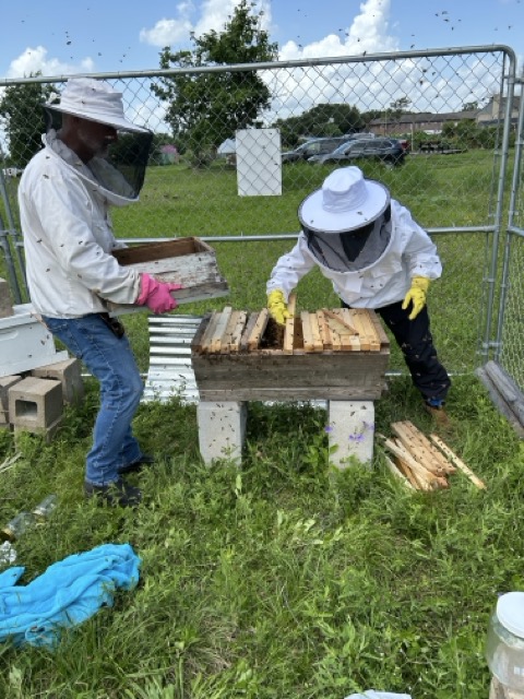 Theresa-IMG_3326 Large Theresa-IMG_3326 Large