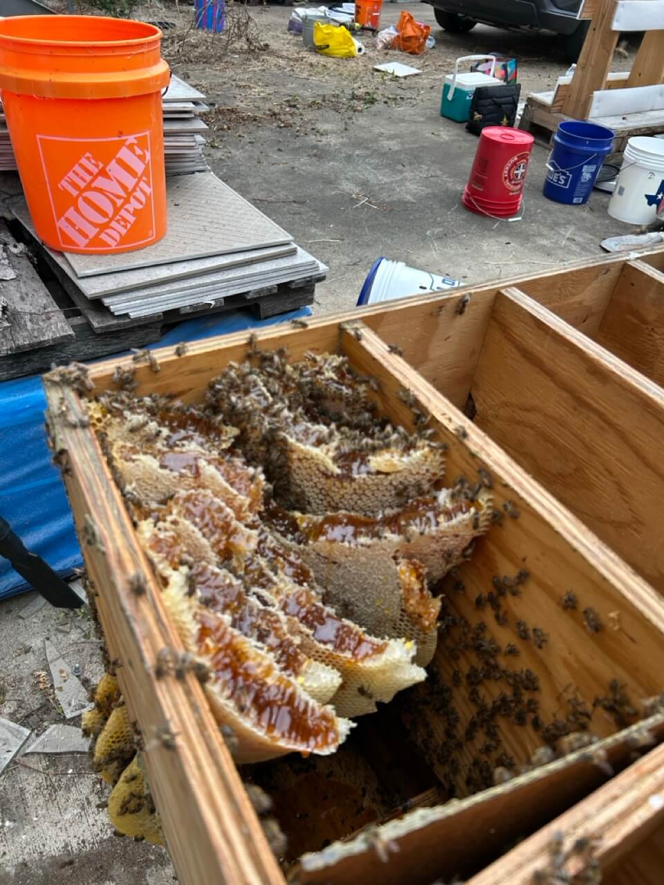 Theresa-IMG_3326 Large Theresa-IMG_3326 Large